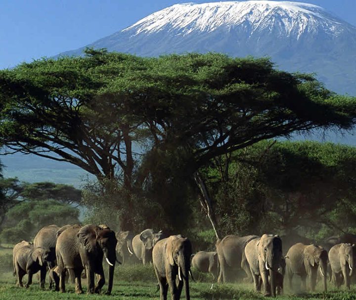Amboseli-National-Park