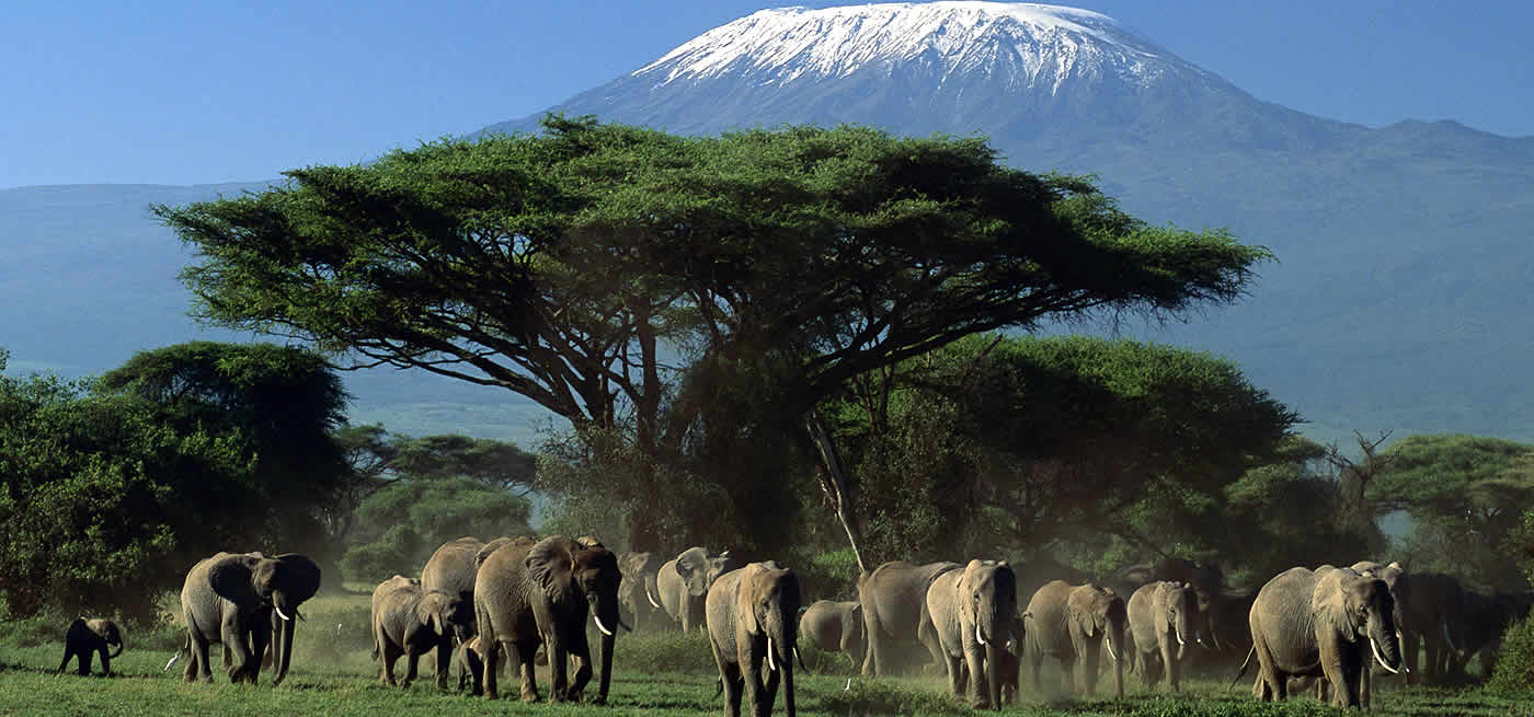 Amboseli-National-Park